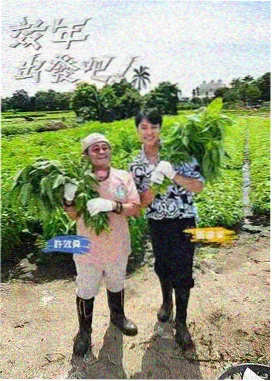 深夜食堂探访 韩国美食纪实综艺画面
