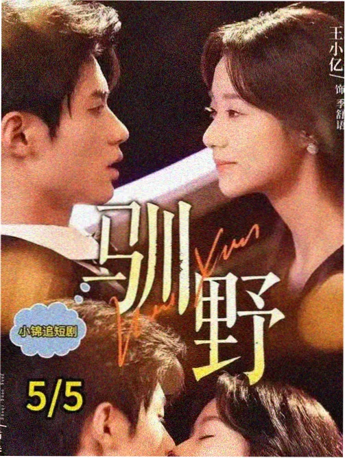 白色诊室 韩国医疗职场剧集海报